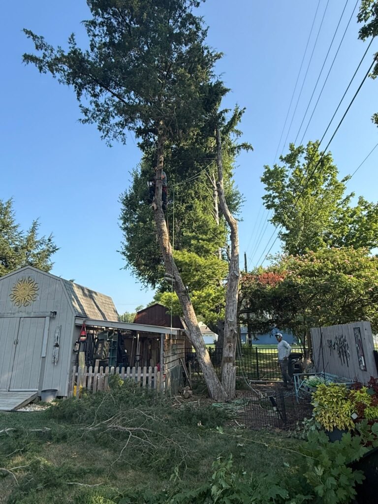 Imagen de WhatsApp 2025-08-15 a las 19.26